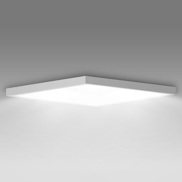 Brilagi - LED plafonjera za kupatilo FRAME LED/40W/230V 60x60 cm IP44 bela