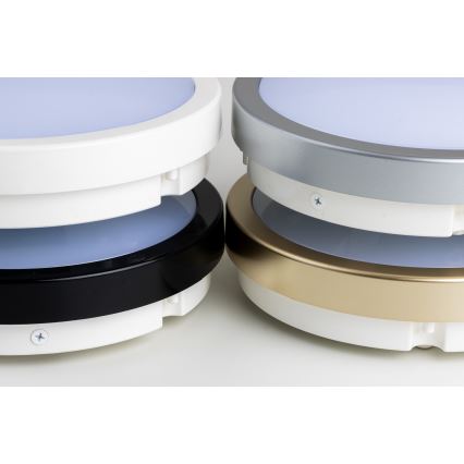 Brilagi - LED plafonjera za kupatilo PERA LED/18W/230V pr. 22 cm IP65 crno