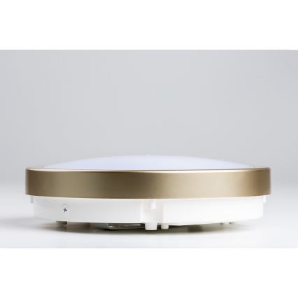 Brilagi - LED plafonjera za kupatilo PERA LED/18W/230V pr. 22 cm IP65 zlatna