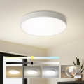 Brilagi - LED plafonska svetiljka POOL LED/60W/230V 3000/4500/6000K prečnik 60 cm bela