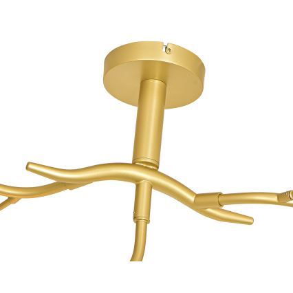 Brilagi - LED plafonski luster MISTEL 9xG9/3W/230V zlatna/bela