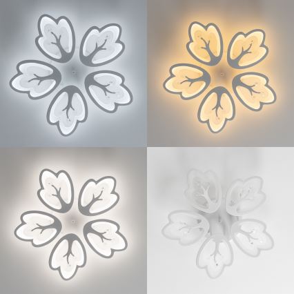 Brilagi - LED prigušiva plafonjerka TWIST LED/80W/230V 3000-6500K bela + daljinski upravljač