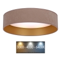 Brilagi - LED plafonsko svetlo VELVET LED/12W/230V Ø 30 cm 3000K/4000K/6400K bež/zlatno