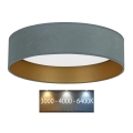 Brilagi - LED plafonsko svetlo VELVET LED/24W/230V prečnik 40 cm 3000/4000/6400K mint/zlatna