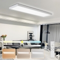 Brilagi - LED plafonsko svetlo za kupatilo FRAME SMART, prigušiva, LED/50W/230V, 30x120 cm, 3000-6000K, IP44, bela + daljinski upravljač