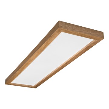 Brilagi - LED plafonsko svetlo za kupatilo WOODY FRAME LED/40W/230V 120x30 cm IP44 hrast