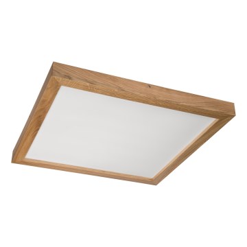 Brilagi - LED plafonsko svetlo za kupatilo WOODY FRAME LED/40W/230V 60x60 cm IP44 hrast