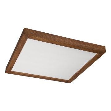 Brilagi - LED plafonsko svetlo za kupatilo WOODY FRAME LED/50W/230V 60x60 cm IP44, hrast/trešnja