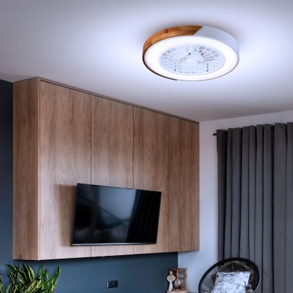 Brilagi - LED Prigušiva plafonjera sa ventilatorom LED/30W/230V 3000-6500K bela/hrast + Daljinski upravljač