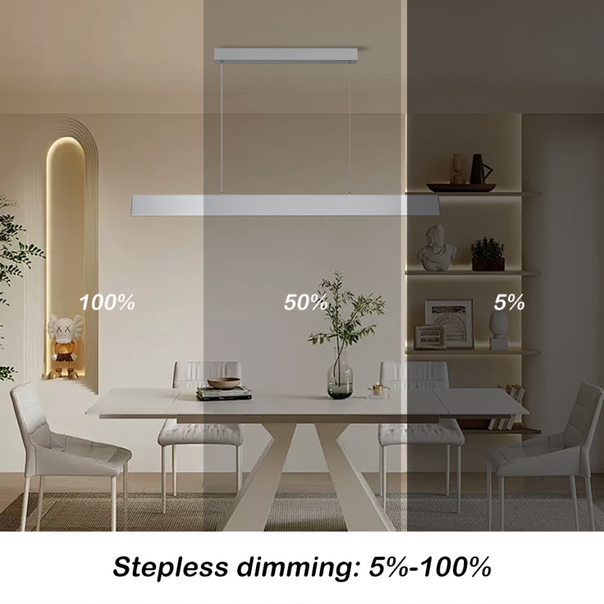 Brilagi - LED Prigušivi luster na sajli SLIMLINE LED/40W/230V 3000-6000K srebrno + Daljinski upravljač