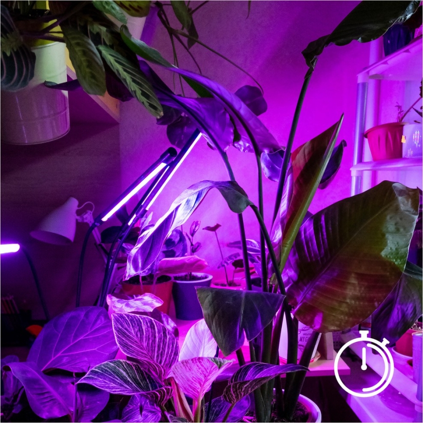Brilagi - LED Prigušiva fleksibilna stojeća lampa za uzgoj biljaka VITABLOOM 4xLED/7,5W/230V crno