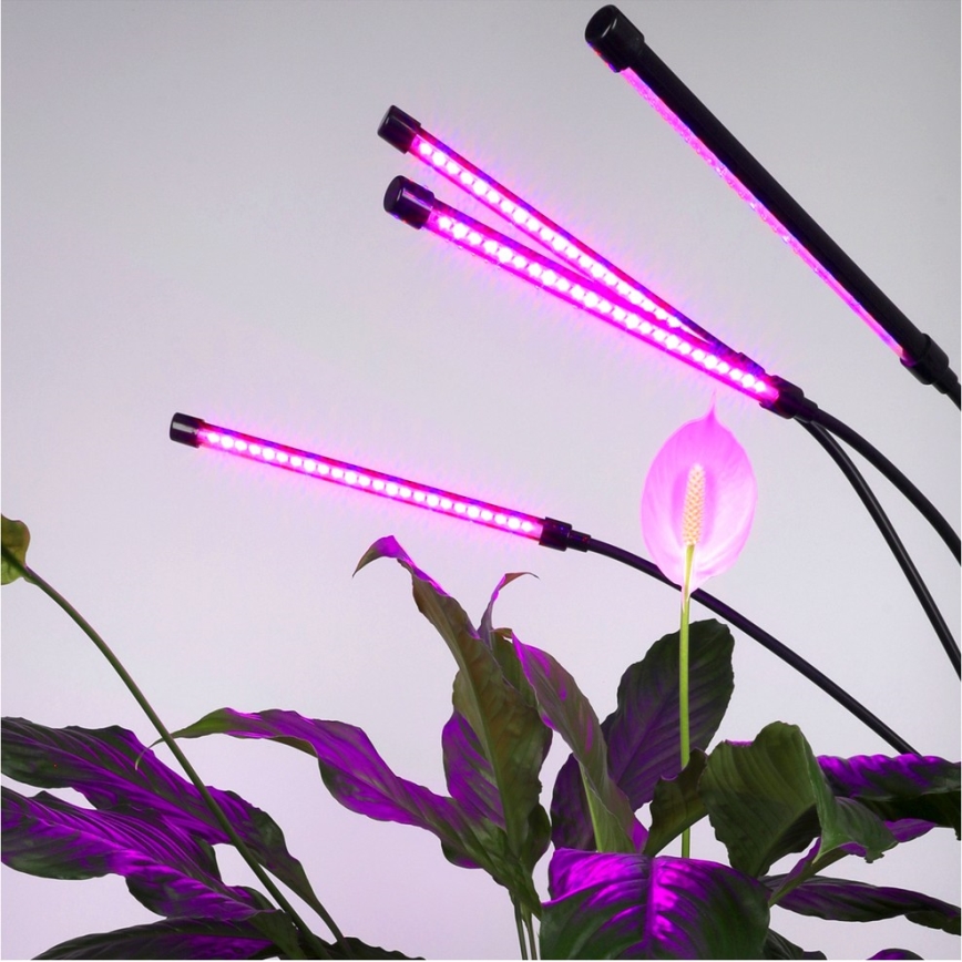 Brilagi - LED Prigušiva fleksibilna stojeća lampa za uzgoj biljaka VITABLOOM 4xLED/7,5W/230V crno