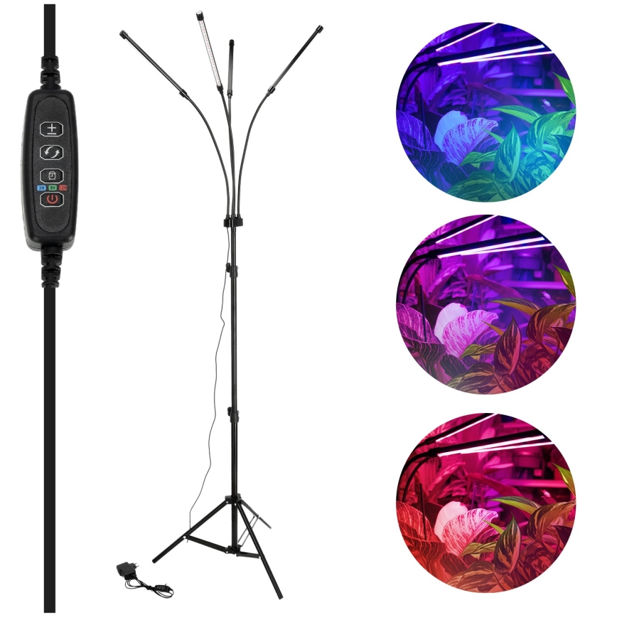 Brilagi - LED Prigušiva fleksibilna stojeća lampa za uzgoj biljaka VITABLOOM 4xLED/7,5W/230V crno