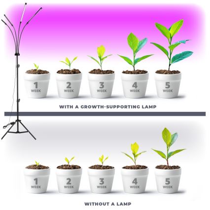 Brilagi - LED Prigušiva fleksibilna stojeća lampa za uzgoj biljaka VITABLOOM 4xLED/7,5W/230V crno
