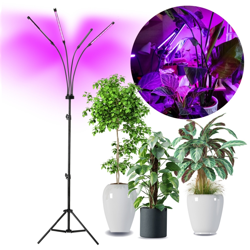 Brilagi - LED Prigušiva fleksibilna stojeća lampa za uzgoj biljaka VITABLOOM 4xLED/7,5W/230V crno