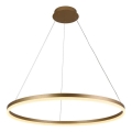 Brilagi - LED prigušiva lampa na sajli CIRCLE LED/55W/230V 3000-6500K zlatna + daljinski upravljač