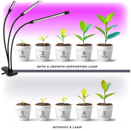 Brilagi - LED prigušiva fleksibilna stona lampa sa klipom za uzgoj biljaka VITABLOOM 3xLED/10W/230V crna