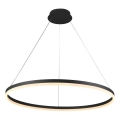 Brilagi - LED prigušiva luster na sajli CIRCLE LED/55W/230V 3000-6500K crna + daljinski upravljač