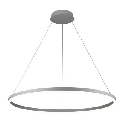 Brilagi - LED prigušiva luster na sajli CIRCLE LED/55W/230V 3000-6500K + daljinsko upravljanje