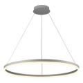 Brilagi - LED prigušiva luster na sajli CIRCLE LED/55W/230V 3000-6500K srebrna + daljinski upravljač