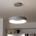 Brilagi - LED prigušiva luster na sajli FALCON LED/40W/230V 3000-6500K prečnik 45 cm siva + daljinski upravljač
