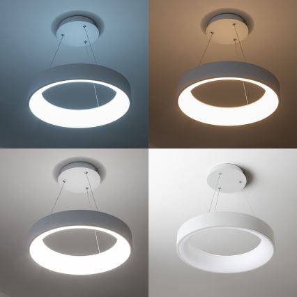 Brilagi - LED prigušiva luster na sajli FALCON LED/80W/230V 3000-6500K pr. 60 cm bela + daljinski upravljač