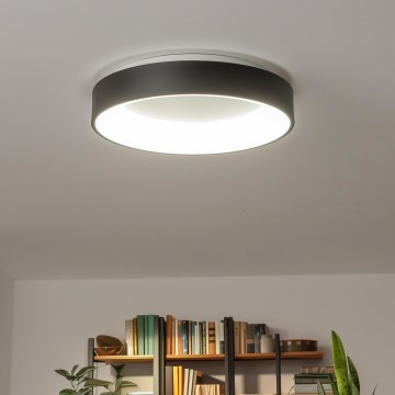 Brilagi - LED Prigušiva plafonjera FALCON LED/80W/230V 3000-6500K pr. 60 cm crno + Daljinski upravljač