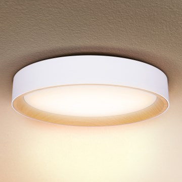 Brilagi - LED Prigušiva plafonjera LARIOS LED/48W/230V 3000-6500K ø 39 cm bela + Daljinski upravljač