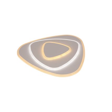Brilagi - LED Prigušiva plafonjera MODERN LED/58W/230V 2700-6500K + Daljinski upravljač