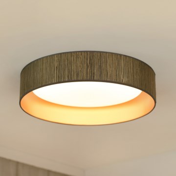 Brilagi - LED Prigušiva plafonjera VEGAS SHINE LED/24W/230V 3000/4000/6500K slama braon/zlatna + Daljinski upravljač