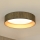 Brilagi - LED Prigušiva plafonjera VEGAS SHINE LED/24W/230V 3000/4000/6500K slama braon/zlatna + Daljinski upravljač