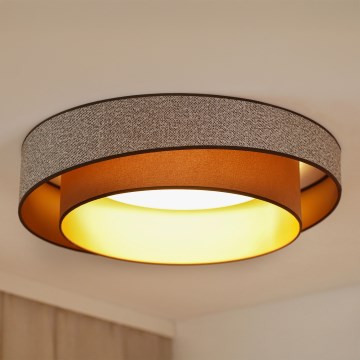 Brilagi - LED Prigušiva plafonjera VEGAS SHINE LED/24W/230V pr. 60 cm 3000/4000/6500K braon + Daljinski upravljač