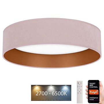 Brilagi - LED Prigušiva plafonjera VELVET SMART LED/24W/230V pr. 45 cm 2700-6500K Wi-Fi Tuya roze/zlatna + Daljinski upravljač