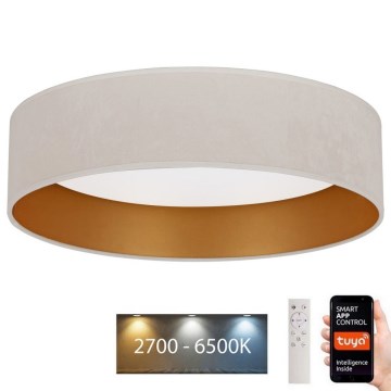 Brilagi - LED Prigušiva plafonjera VELVET SMART LED/36W/230V pr. 55 cm 2700-6500K Wi-Fi Tuya kremasta/zlatna + Daljinski upravljač