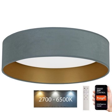 Brilagi - LED Prigušiva plafonjera VELVET SMART LED/36W/230V pr. 55 cm 2700-6500K Wi-Fi Tuya menta/zlatna + Daljinski upravljač