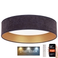 Brilagi - LED Prigušiva plafonjera VELVET SMART LED/36W/230V pr. 55 cm 2700-6500K Wi-Fi Tuya sivo/zlatna + Daljinski upravljač