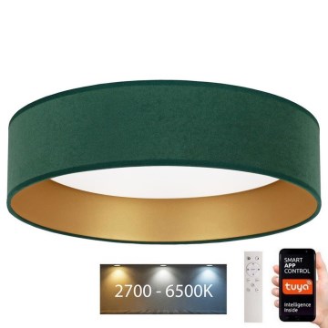 Brilagi - LED Prigušiva plafonjera VELVET SMART LED/36W/230V pr. 55 cm 2700-6500K Wi-Fi Tuya zelena/zlatna + Daljinski upravljač