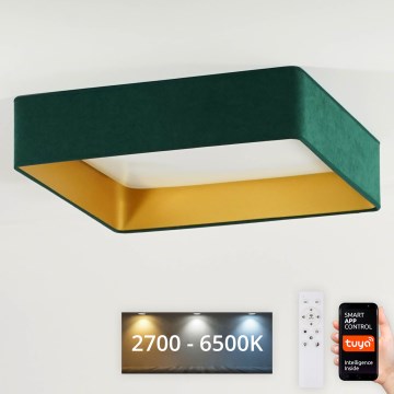 Brilagi - LED Prigušiva plafonjera VELVET SQUARE SMART LED/36W/230V 2700-6500K Wi-Fi Tuya + Daljinski upravljač zelena