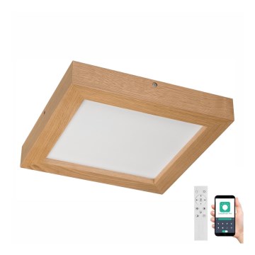 Brilagi - LED Prigušiva plafonjera za kupatilo WOODY FRAME LED/24W/230V hrast 30x30 cm 3000-6000K IP44 + Daljinski upravljač