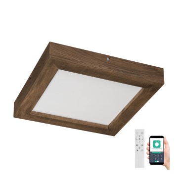 Brilagi - LED Prigušiva plafonjera za kupatilo WOODY FRAME LED/24W/230V hrast 30x30 cm 3000-6000K IP44 + Daljinski upravljač