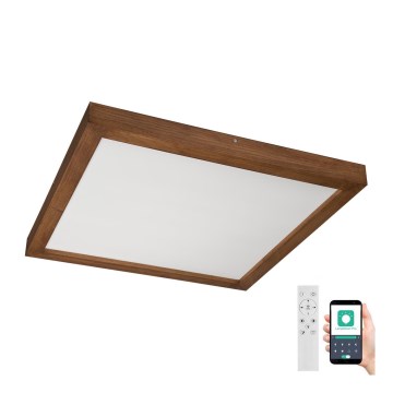 Brilagi - LED Prigušiva plafonjera za kupatilo WOODY FRAME LED/50W/230V hrast 60x60 cm 3000-6000K IP44 + Daljinski upravljač