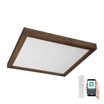 Brilagi - LED Prigušiva plafonjera za kupatilo WOODY FRAME LED/50W/230V hrast 60x60 cm 3000-6000K IP44 + Daljinski upravljač