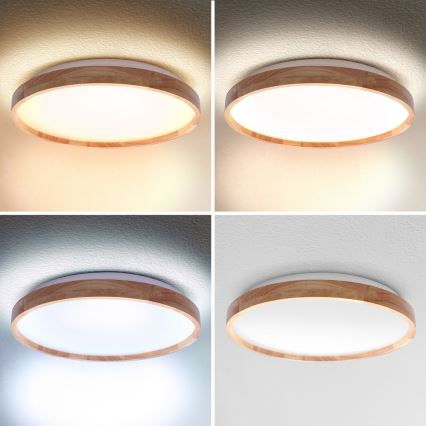 Brilagi - prigušiva LED stropna lampa ALSON LED/48W/230V 3000-6500K hrast preč. 39,5 cm + daljinski upravljač