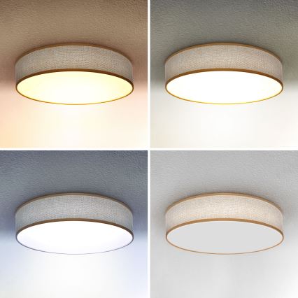 Brilagi - LED plafonsko svetlo CARMEN, prigušiva, LED/48W/230V 3000-6500K pr. 40 cm + daljinski upravljač