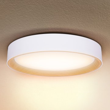 Brilagi - LED prigušiva plafonska svetiljka LARIOS LED/60W/230V 3000-6500K fi 49 cm bela + daljinsko upravljanje