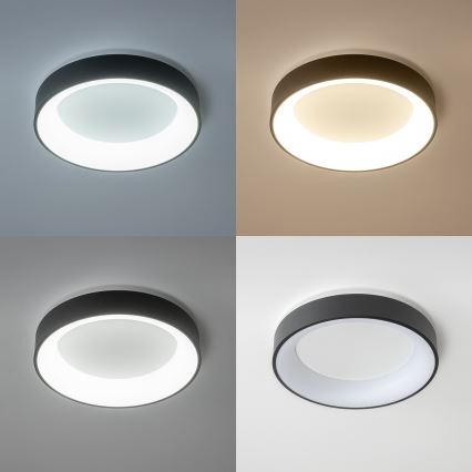 Brilagi - prigušiva LED plafonska svetiljka FALCON LED/40W/230V 3000-6500K prečnik 45 cm crna + daljinski upravljač