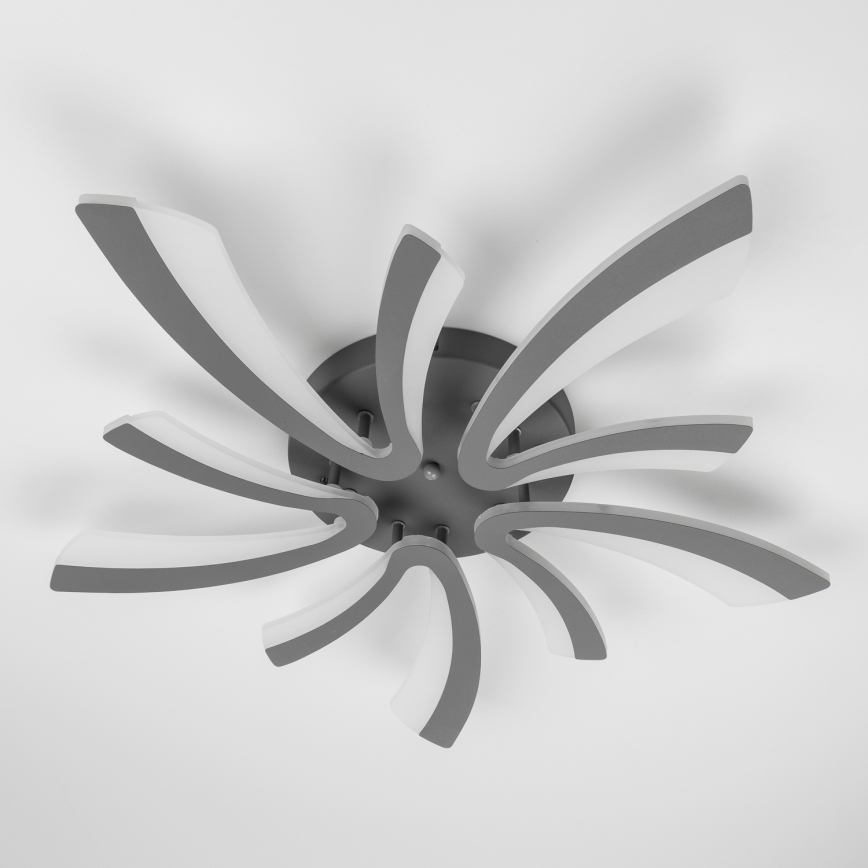 Brilagi - LED prigušiva plafonska lampa TWIST LED/55W/230V 3000-6500K antracit + daljinski upravljač