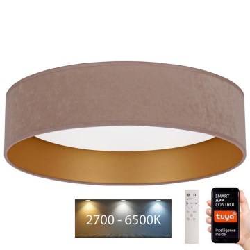 Brilagi - LED prigušiva plafonska svetiljka VELVET SMART LED/36W/230V prečnik 55 cm 2700-6500K Wi-Fi Tuya bež/zlatna + daljinski upravljač