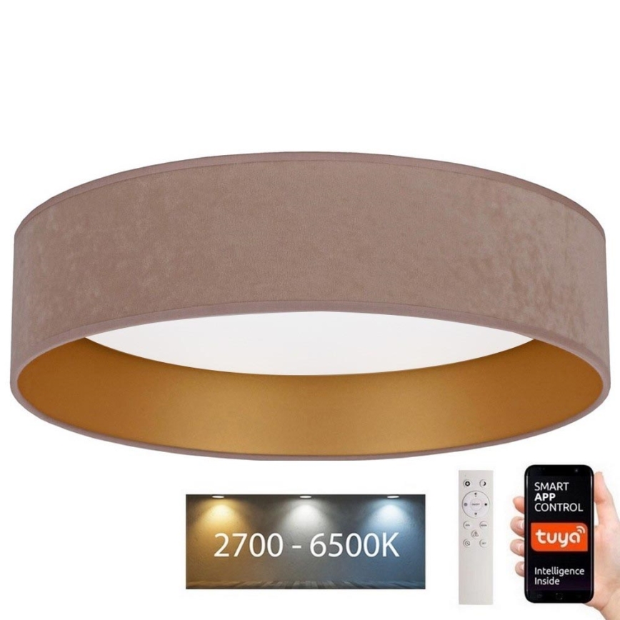 Brilagi - LED prigušiva plafonska svetiljka VELVET SMART LED/36W/230V prečnik 55 cm 2700-6500K Wi-Fi Tuya bež/zlatna + daljinski upravljač