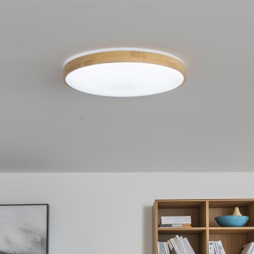 Brilagi - LED prigušiva stropna lampa PINE LED/24W/230V prečnik 42 cm 3000-6500K sa daljinskim upravljačem